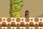 Mario Doomsday